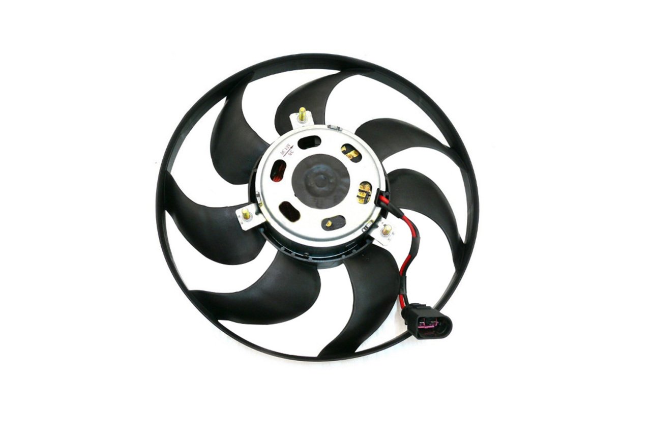 Fan Pervanesi - Fabia - 2011 - 2015