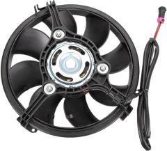 Fan - Passat - 1998