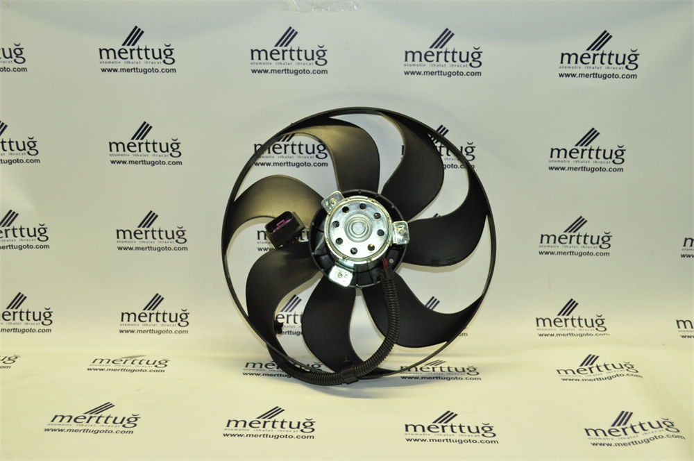 Fan Büyük - Golf - 2000 - 2006