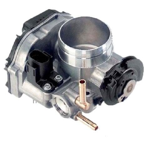 Boğaz Kelebeği - Toledo - 2000 - 2009