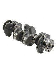 Krank - CAAA - Motor - 2.0 TDI - Transporter - 2010 - 2011