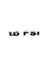 1.6 FSİ Yazı